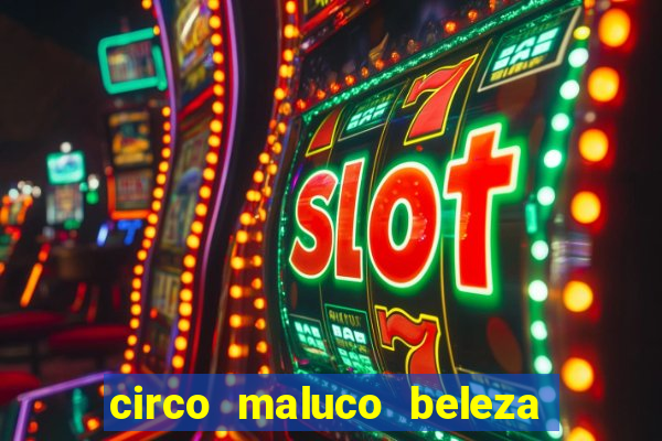 circo maluco beleza recife circo maluco